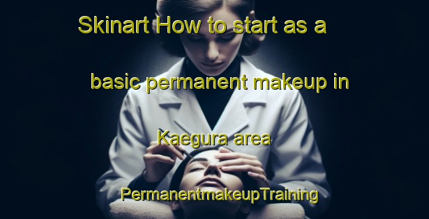 Skinart How to start as a basic permanent makeup in Kaegura area | PermanentmakeupTraining | PermanentmakeupClasses | SkinartTraining-Japan