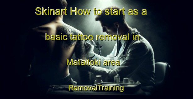 Skinart How to start as a basic tattoo removal in Mataitoki area | RemovalTraining | RemovalClasses | SkinartTraining-Japan