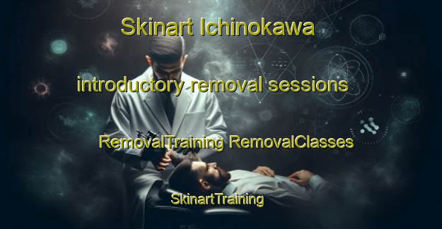 Skinart Ichinokawa introductory removal sessions | #RemovalTraining #RemovalClasses #SkinartTraining-Japan