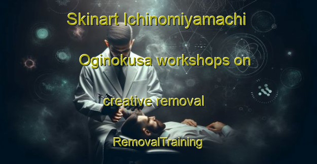 Skinart Ichinomiyamachi Oginokusa workshops on creative removal | RemovalTraining | RemovalClasses | SkinartTraining-Japan