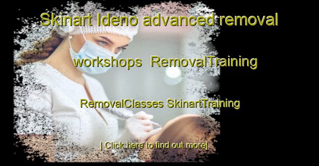 Skinart Ideno advanced removal workshops | #RemovalTraining #RemovalClasses #SkinartTraining-Japan