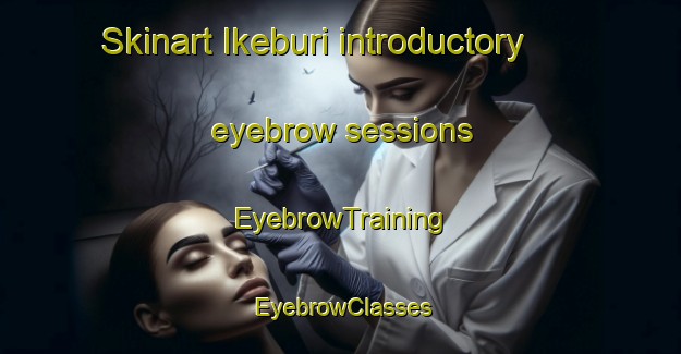 Skinart Ikeburi introductory eyebrow sessions | EyebrowTraining | EyebrowClasses | SkinartTraining-Japan