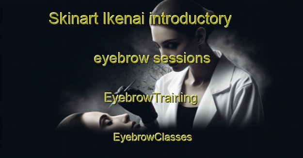 Skinart Ikenai introductory eyebrow sessions | EyebrowTraining | EyebrowClasses | SkinartTraining-Japan