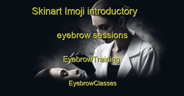 Skinart Imoji introductory eyebrow sessions | EyebrowTraining | EyebrowClasses | SkinartTraining-Japan