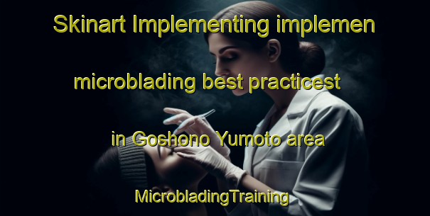 Skinart Implementing implemen microblading best practicest in Goshono Yumoto area | #MicrobladingTraining #MicrobladingClasses #SkinartTraining-Japan