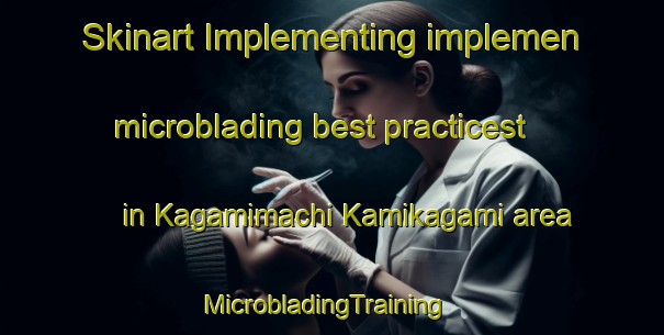 Skinart Implementing implemen microblading best practicest in Kagamimachi Kamikagami area | MicrobladingTraining | MicrobladingClasses | SkinartTraining-Japan