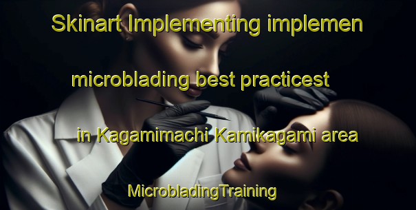 Skinart Implementing implemen microblading best practicest in Kagamimachi Kamikagami area | MicrobladingTraining | MicrobladingClasses | SkinartTraining-Japan
