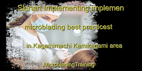 Skinart Implementing implemen microblading best practicest in Kagamimachi Kamikagami area | MicrobladingTraining | MicrobladingClasses | SkinartTraining-Japan