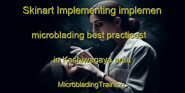 Skinart Implementing implemen microblading best practicest in Kashiwagaya area | #MicrobladingTraining #MicrobladingClasses #SkinartTraining-Japan