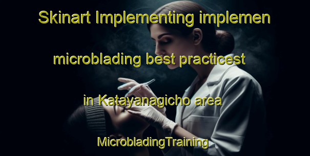 Skinart Implementing implemen microblading best practicest in Katayanagicho area | #MicrobladingTraining #MicrobladingClasses #SkinartTraining-Japan