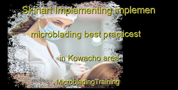 Skinart Implementing implemen microblading best practicest in Kowacho area | #MicrobladingTraining #MicrobladingClasses #SkinartTraining-Japan