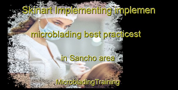 Skinart Implementing implemen microblading best practicest in Sancho area | #MicrobladingTraining #MicrobladingClasses #SkinartTraining-Japan