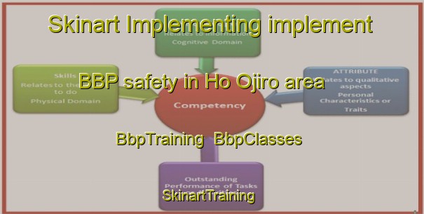 Skinart Implementing implement BBP safety in Ho Ojiro area | BbpTraining | BbpClasses | SkinartTraining-Japan