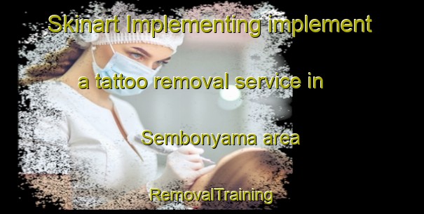 Skinart Implementing implement a tattoo removal service in Sembonyama area | RemovalTraining | RemovalClasses | SkinartTraining-Japan