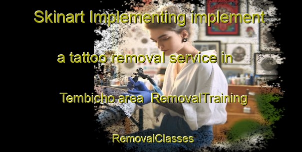 Skinart Implementing implement a tattoo removal service in Tembicho area | RemovalTraining | RemovalClasses | SkinartTraining-Japan