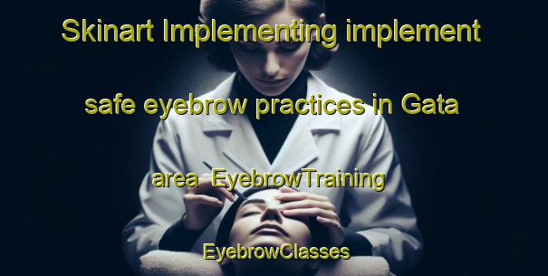 Skinart Implementing implement safe eyebrow practices in Gata area | EyebrowTraining | EyebrowClasses | SkinartTraining-Japan