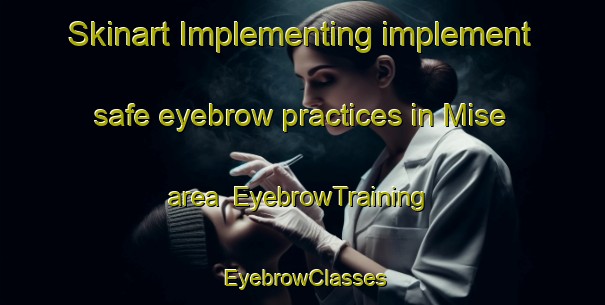 Skinart Implementing implement safe eyebrow practices in Mise area | EyebrowTraining | EyebrowClasses | SkinartTraining-Japan