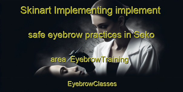 Skinart Implementing implement safe eyebrow practices in Seko area | EyebrowTraining | EyebrowClasses | SkinartTraining-Japan