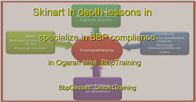 Skinart In-depth lessons in specialize in BBP compliance in Ogaran area | BbpTraining | BbpClasses | SkinartTraining-Japan