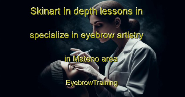 Skinart In-depth lessons in specialize in eyebrow artistry in Mateno area | EyebrowTraining | EyebrowClasses | SkinartTraining-Japan