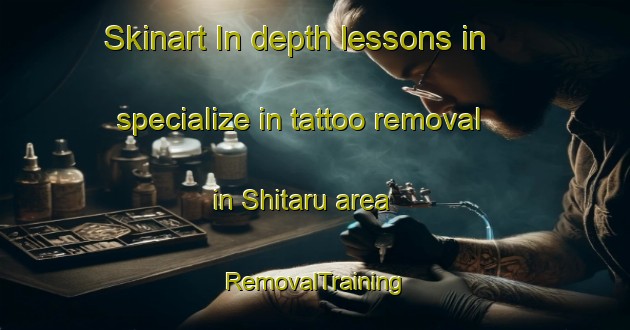 Skinart In-depth lessons in specialize in tattoo removal in Shitaru area | RemovalTraining | RemovalClasses | SkinartTraining-Japan