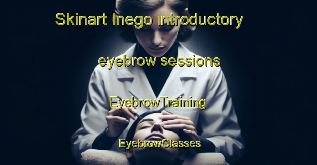 Skinart Inego introductory eyebrow sessions | EyebrowTraining | EyebrowClasses | SkinartTraining-Japan