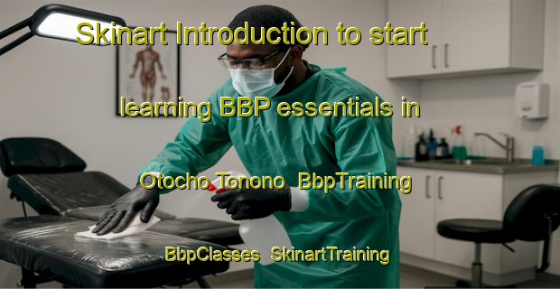 Skinart Introduction to start learning BBP essentials in Otocho Tonono | BbpTraining | BbpClasses | SkinartTraining-Japan