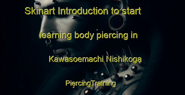 Skinart Introduction to start learning body piercing in Kawasoemachi Nishikoga | #PiercingTraining #PiercingClasses #SkinartTraining-Japan