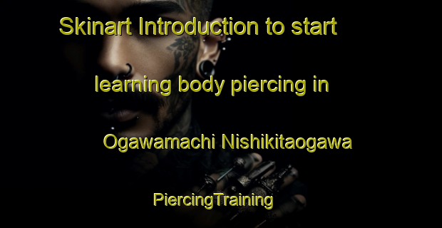 Skinart Introduction to start learning body piercing in Ogawamachi Nishikitaogawa | PiercingTraining | PiercingClasses | SkinartTraining-Japan