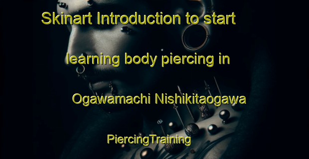 Skinart Introduction to start learning body piercing in Ogawamachi Nishikitaogawa | PiercingTraining | PiercingClasses | SkinartTraining-Japan