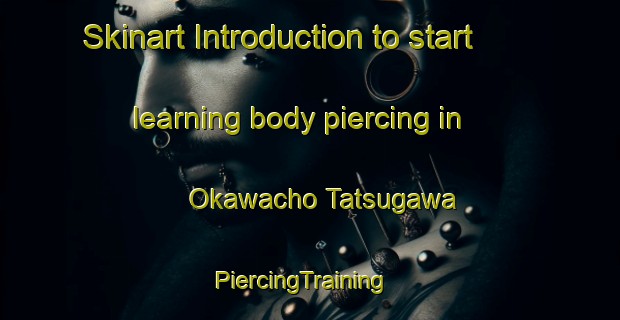 Skinart Introduction to start learning body piercing in Okawacho Tatsugawa | PiercingTraining | PiercingClasses | SkinartTraining-Japan