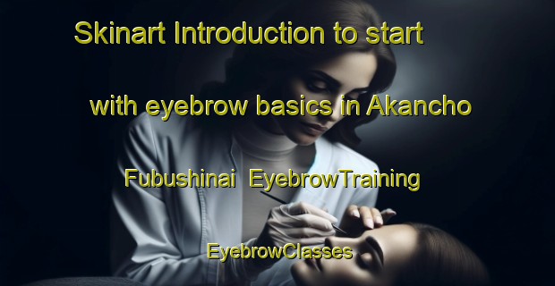 Skinart Introduction to start with eyebrow basics in Akancho Fubushinai | EyebrowTraining | EyebrowClasses | SkinartTraining-Japan