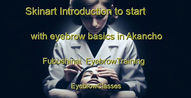 Skinart Introduction to start with eyebrow basics in Akancho Fubushinai | EyebrowTraining | EyebrowClasses | SkinartTraining-Japan