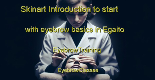 Skinart Introduction to start with eyebrow basics in Egaito | EyebrowTraining | EyebrowClasses | SkinartTraining-Japan