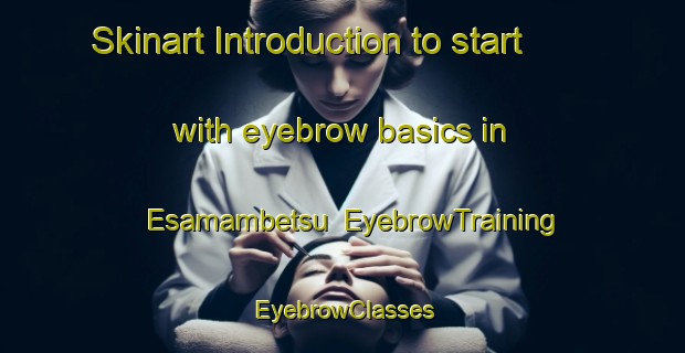 Skinart Introduction to start with eyebrow basics in Esamambetsu | EyebrowTraining | EyebrowClasses | SkinartTraining-Japan
