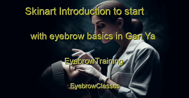 Skinart Introduction to start with eyebrow basics in Gan Ya | EyebrowTraining | EyebrowClasses | SkinartTraining-Japan
