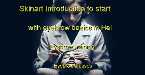 Skinart Introduction to start with eyebrow basics in Hei | EyebrowTraining | EyebrowClasses | SkinartTraining-Japan