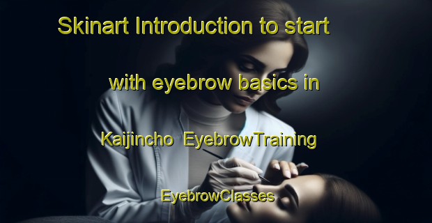 Skinart Introduction to start with eyebrow basics in Kaijincho | EyebrowTraining | EyebrowClasses | SkinartTraining-Japan