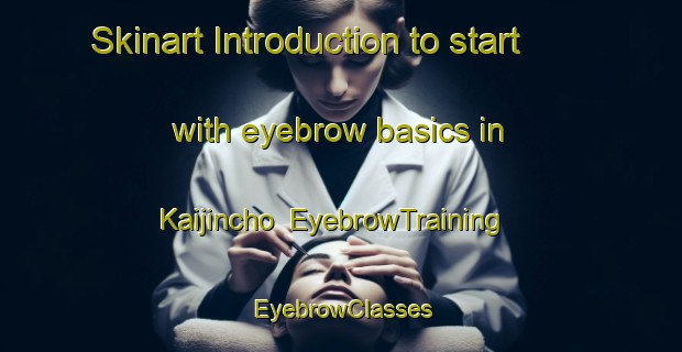 Skinart Introduction to start with eyebrow basics in Kaijincho | EyebrowTraining | EyebrowClasses | SkinartTraining-Japan