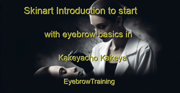 Skinart Introduction to start with eyebrow basics in Kakeyacho Kakeya | EyebrowTraining | EyebrowClasses | SkinartTraining-Japan