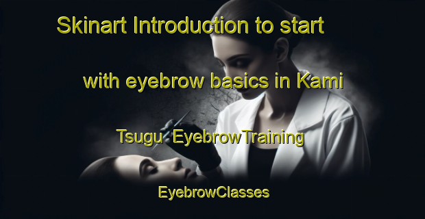 Skinart Introduction to start with eyebrow basics in Kami Tsugu | EyebrowTraining | EyebrowClasses | SkinartTraining-Japan