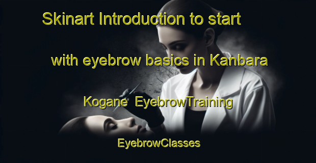 Skinart Introduction to start with eyebrow basics in Kanbara Kogane | EyebrowTraining | EyebrowClasses | SkinartTraining-Japan