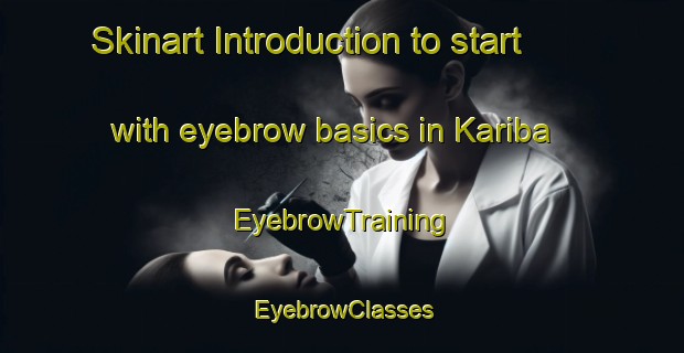 Skinart Introduction to start with eyebrow basics in Kariba | EyebrowTraining | EyebrowClasses | SkinartTraining-Japan