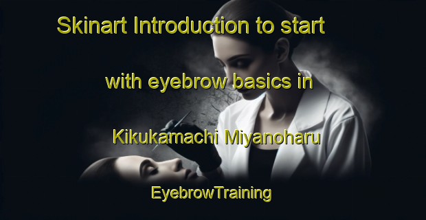 Skinart Introduction to start with eyebrow basics in Kikukamachi Miyanoharu | EyebrowTraining | EyebrowClasses | SkinartTraining-Japan