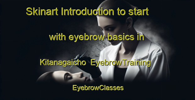 Skinart Introduction to start with eyebrow basics in Kitanagaicho | EyebrowTraining | EyebrowClasses | SkinartTraining-Japan
