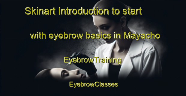 Skinart Introduction to start with eyebrow basics in Mayacho | EyebrowTraining | EyebrowClasses | SkinartTraining-Japan