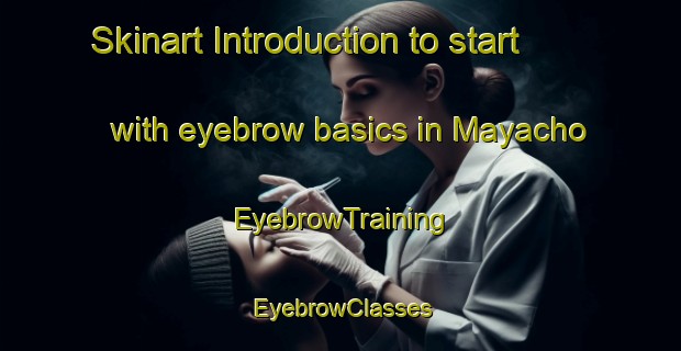 Skinart Introduction to start with eyebrow basics in Mayacho | EyebrowTraining | EyebrowClasses | SkinartTraining-Japan
