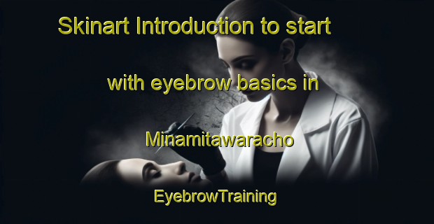 Skinart Introduction to start with eyebrow basics in Minamitawaracho | EyebrowTraining | EyebrowClasses | SkinartTraining-Japan