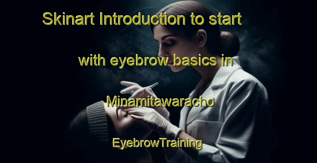 Skinart Introduction to start with eyebrow basics in Minamitawaracho | EyebrowTraining | EyebrowClasses | SkinartTraining-Japan