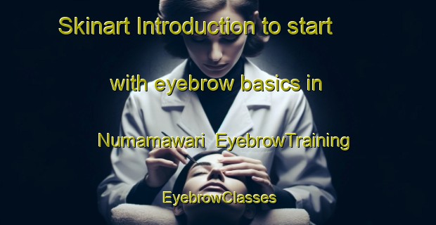 Skinart Introduction to start with eyebrow basics in Numamawari | EyebrowTraining | EyebrowClasses | SkinartTraining-Japan
